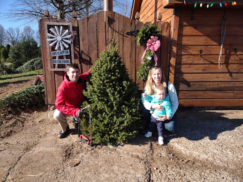 We Love Our Tradition of Cutting Down Our Own Christmas Tree