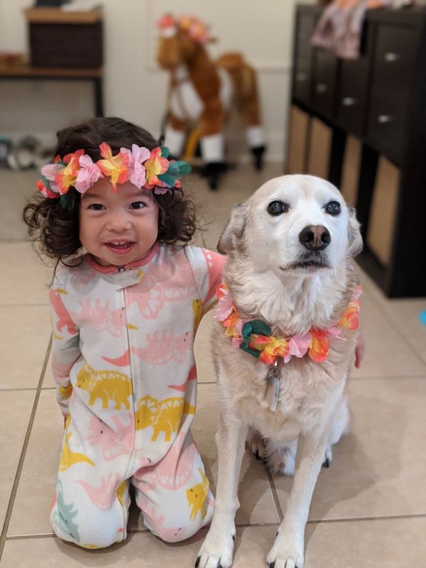 Emelia & Bosley