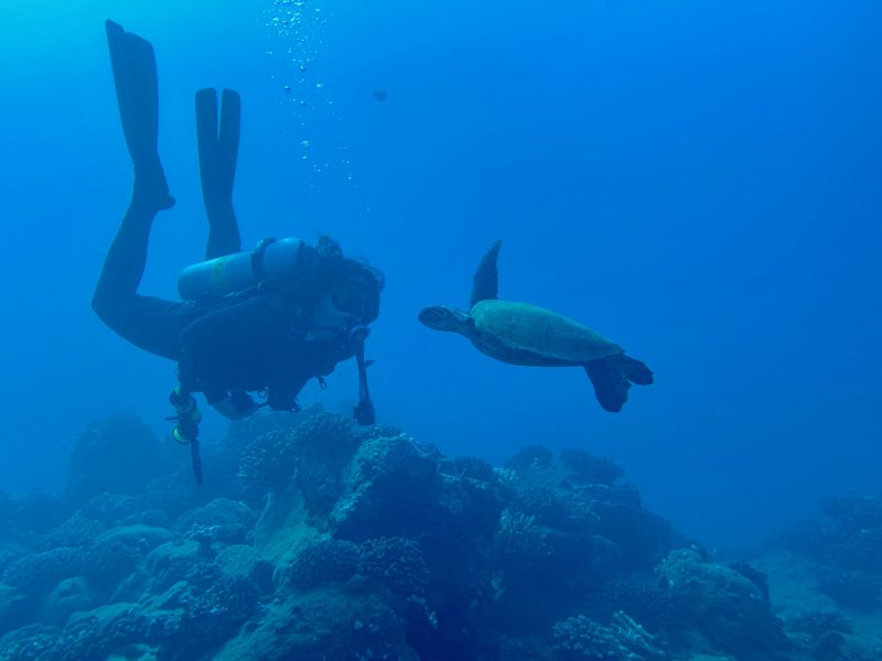 Rachel SCUBA Diving