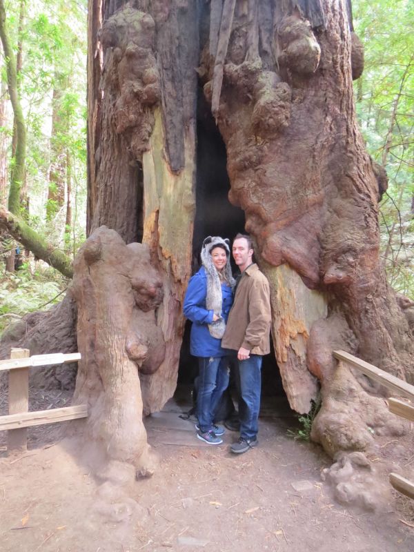 Muir Woods National Park, California