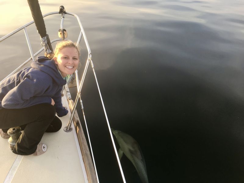 Sailing in the Gulf of Mexico With Dolphins
