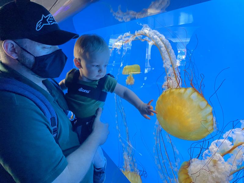 At the Aquarium