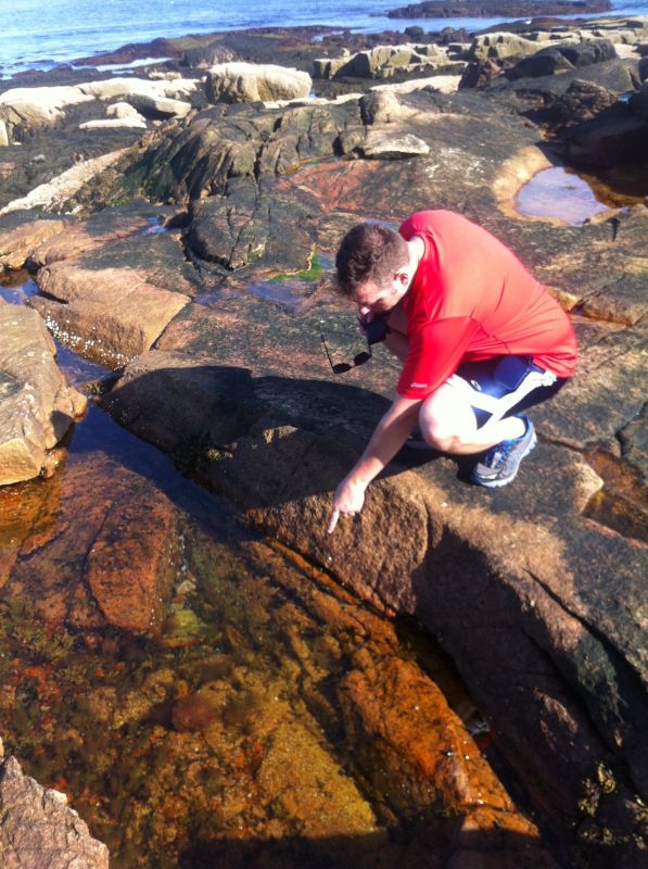 Chris Pointing Out Something in a Tide Pool