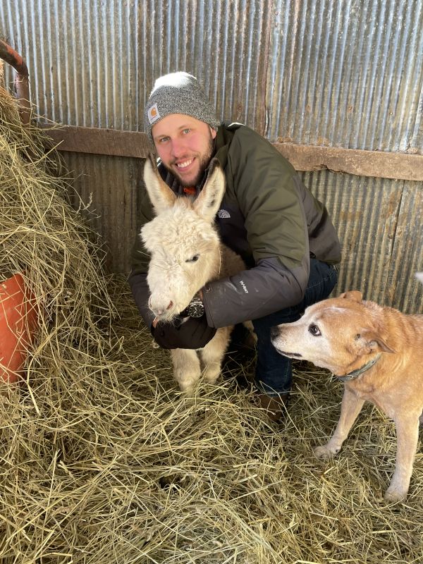 Caleb With Our Donkey, Star