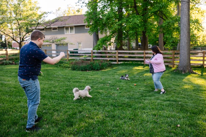 Playing With Our Dogs in Our Yard