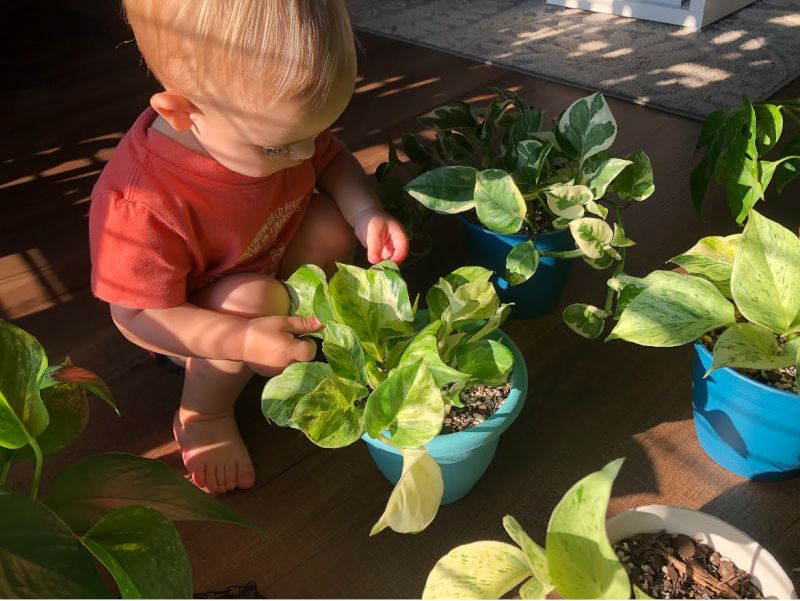 Elijah Helping Nick Take Care of the Plants