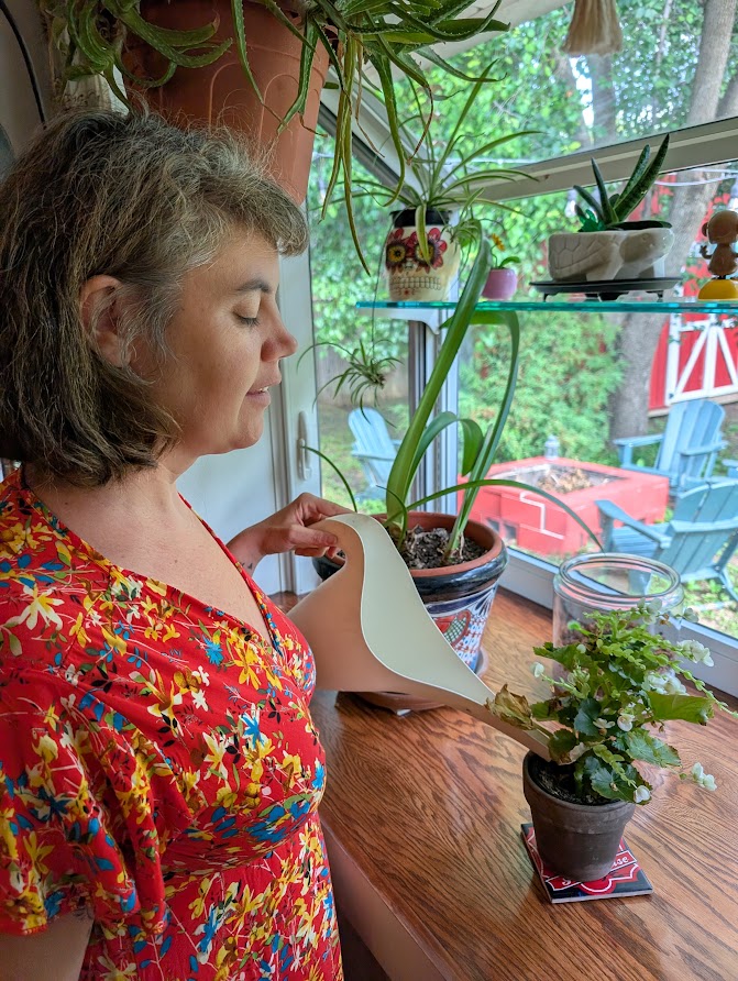 Watering the Plants
