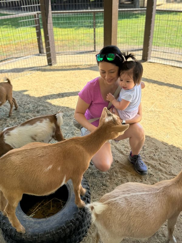 Enjoying the Petting Zoo