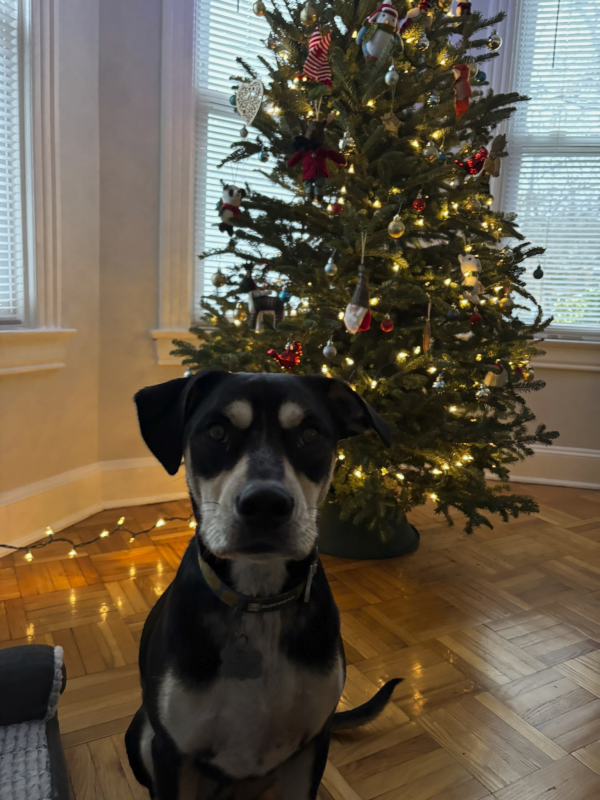 Merry Christmas Kenny!