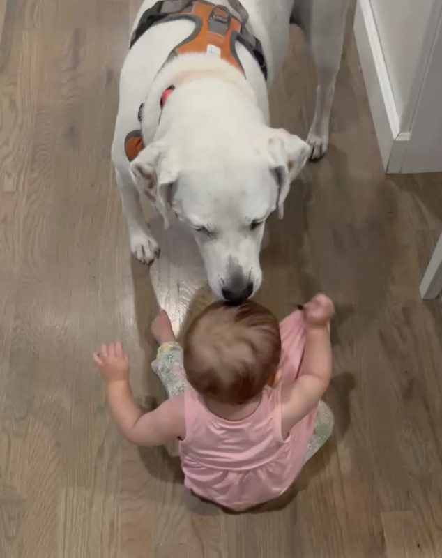 CJ Meeting Our Niece