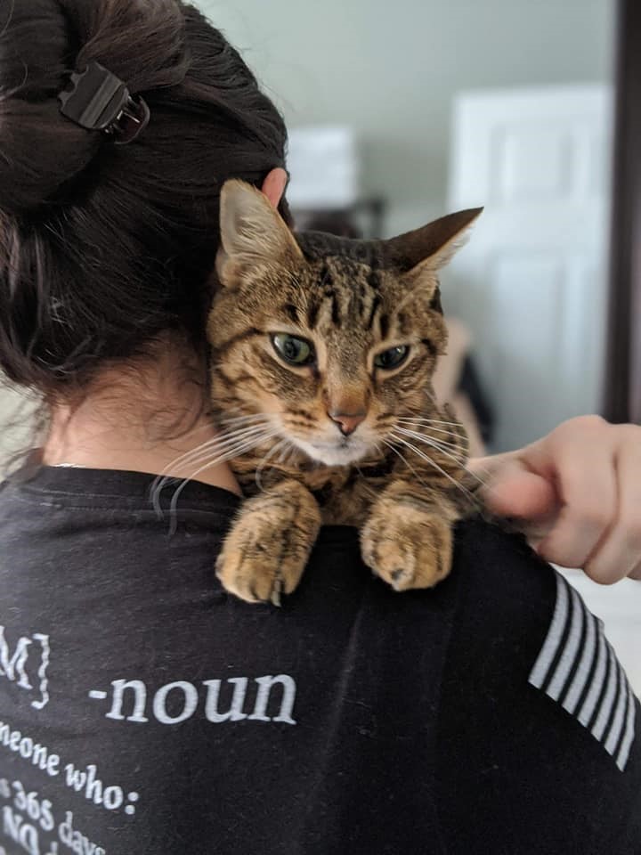 Our Fur Baby