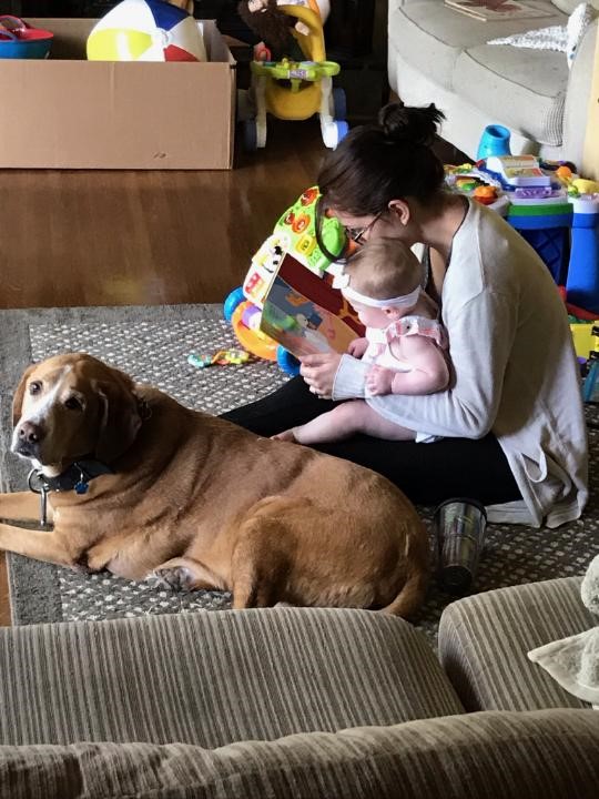 Reading With Our Niece