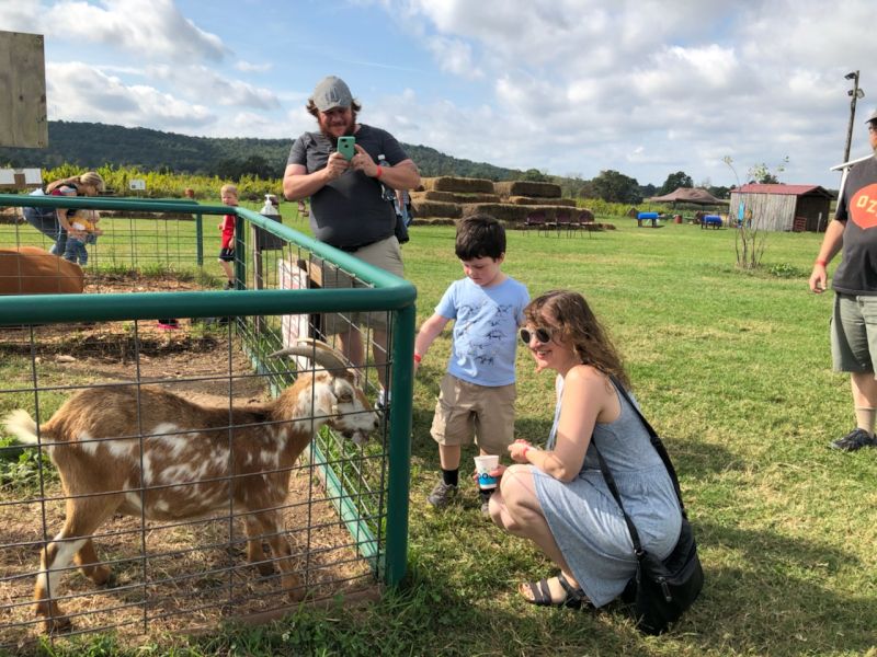 Visiting a Petting Zoo With Our Nephew