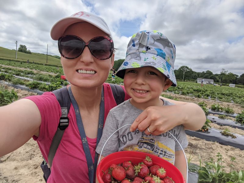 Picking Strawberries With Mom