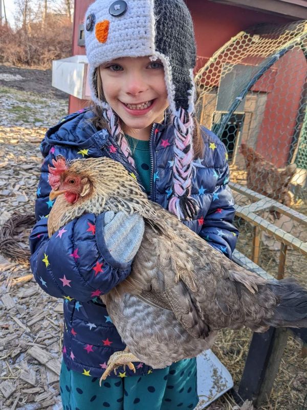 Chicken Chores