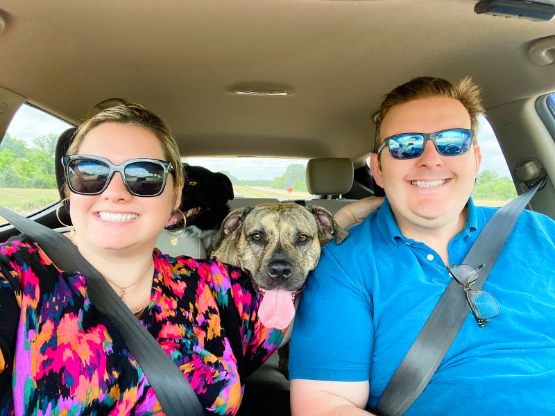Road Trip With Our Dogs